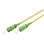 Cavo in fibra ottica: Spina SC-APC > Spina SC-APC 2mt