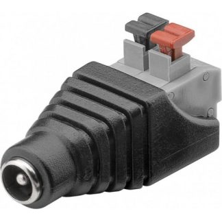 Adattatore morsetto 2pin - Presa DC (5,50 x 2,10 mm)