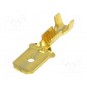 CAPICORDA LAM MASCHIO NUDO 1,5 P6,3X0,8